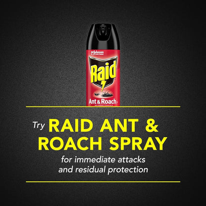 Raid® Ant & Roach Killer 26, Fragrance-Free Bug Spray, Pack of 2 or Pack of 12.