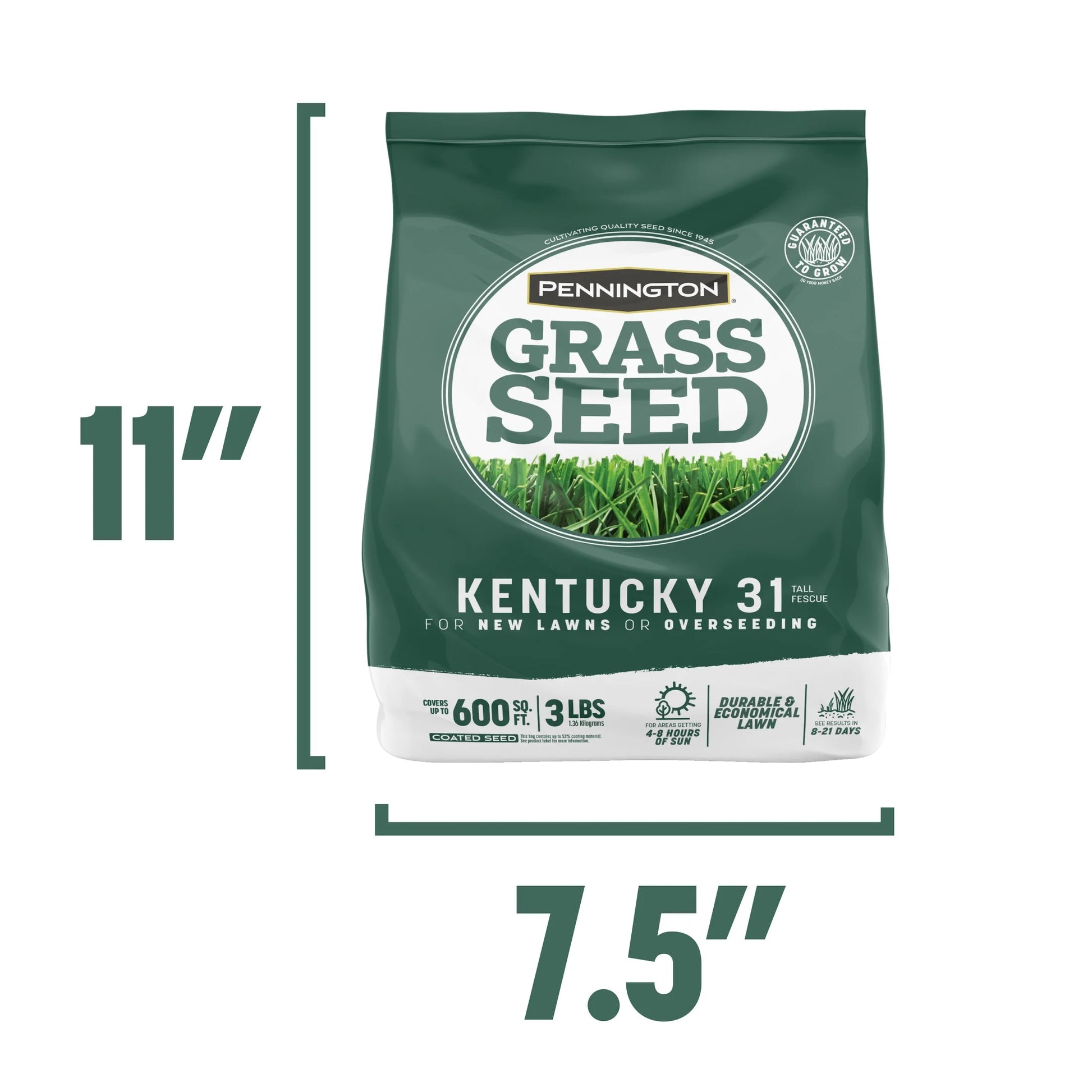 Kentucky 31 Tall Fescue Grass Seed, for Sun to Partial Shade, 3 Lb., 1 Bag