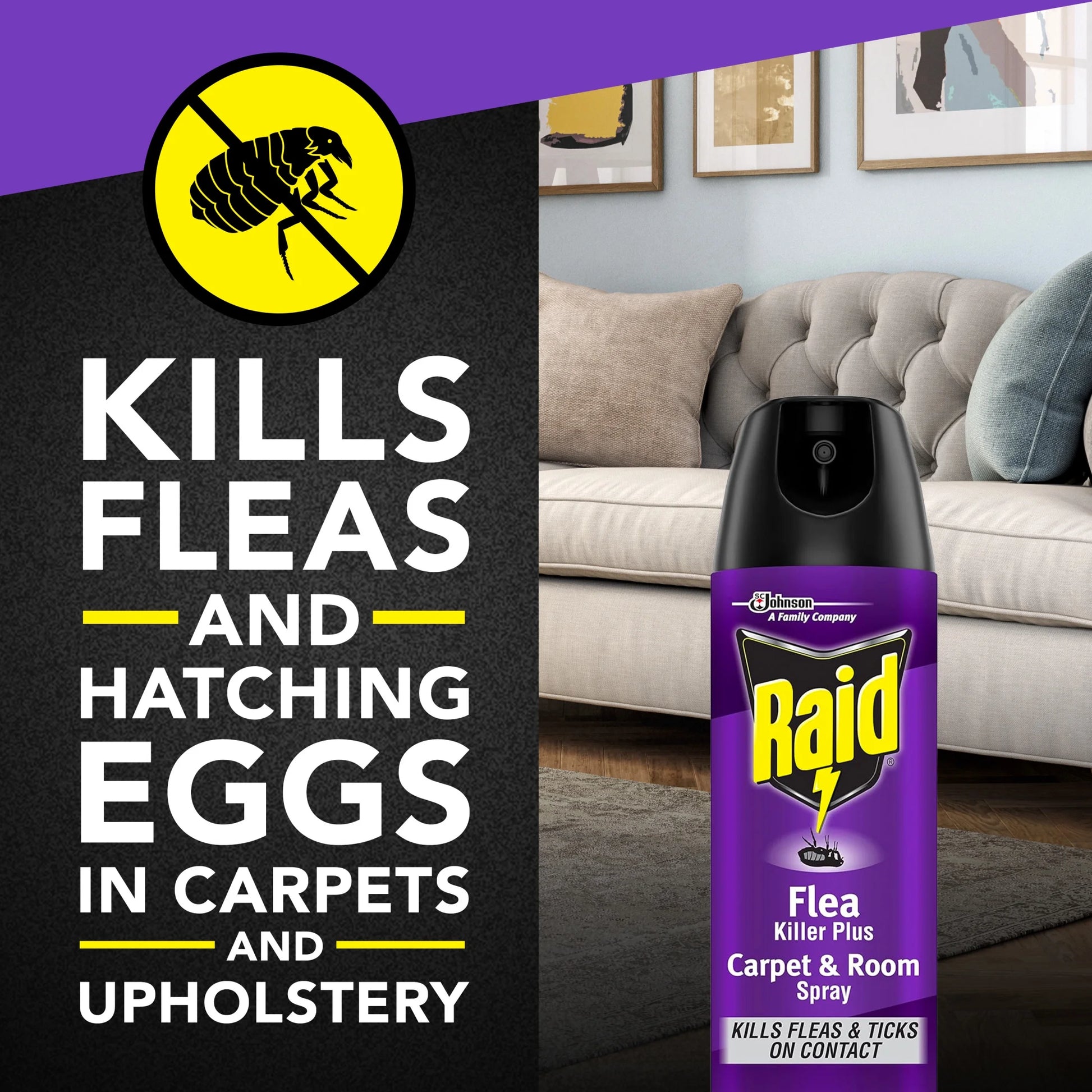 Flea Killer plus Carpet & Room Spray, Bug Spray Kills Fleas & Flea Eggs, 16 Oz