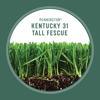 Kentucky 31 Tall Fescue Grass Seed, for Sun to Partial Shade, 3 Lb., 1 Bag