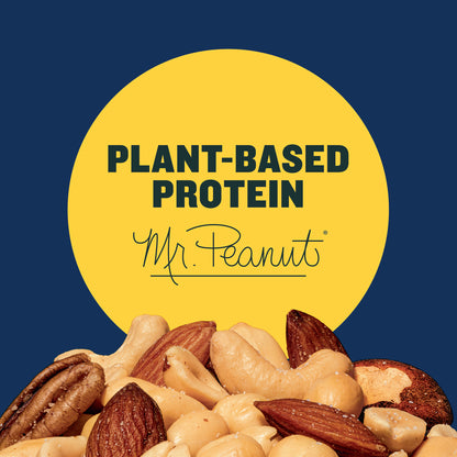 Salted Mixed Nuts, Party Snacks, Plant-Based Protein 10.3Oz (1 Canister)