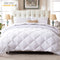 2 Pieces Bed in a Bag Comforter Set Duvet Insert,Reversible,White,Twin